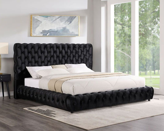 Andromeda Platform Bed