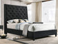 Atticus Bed