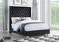 Desmond Bed