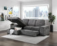 Kevin Sectional With Pull-Out Bed & Storage Chaise
